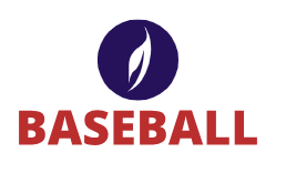 Efficient Baseball Equipment Store